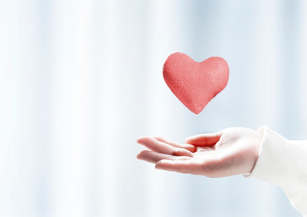 充実のサポート体制